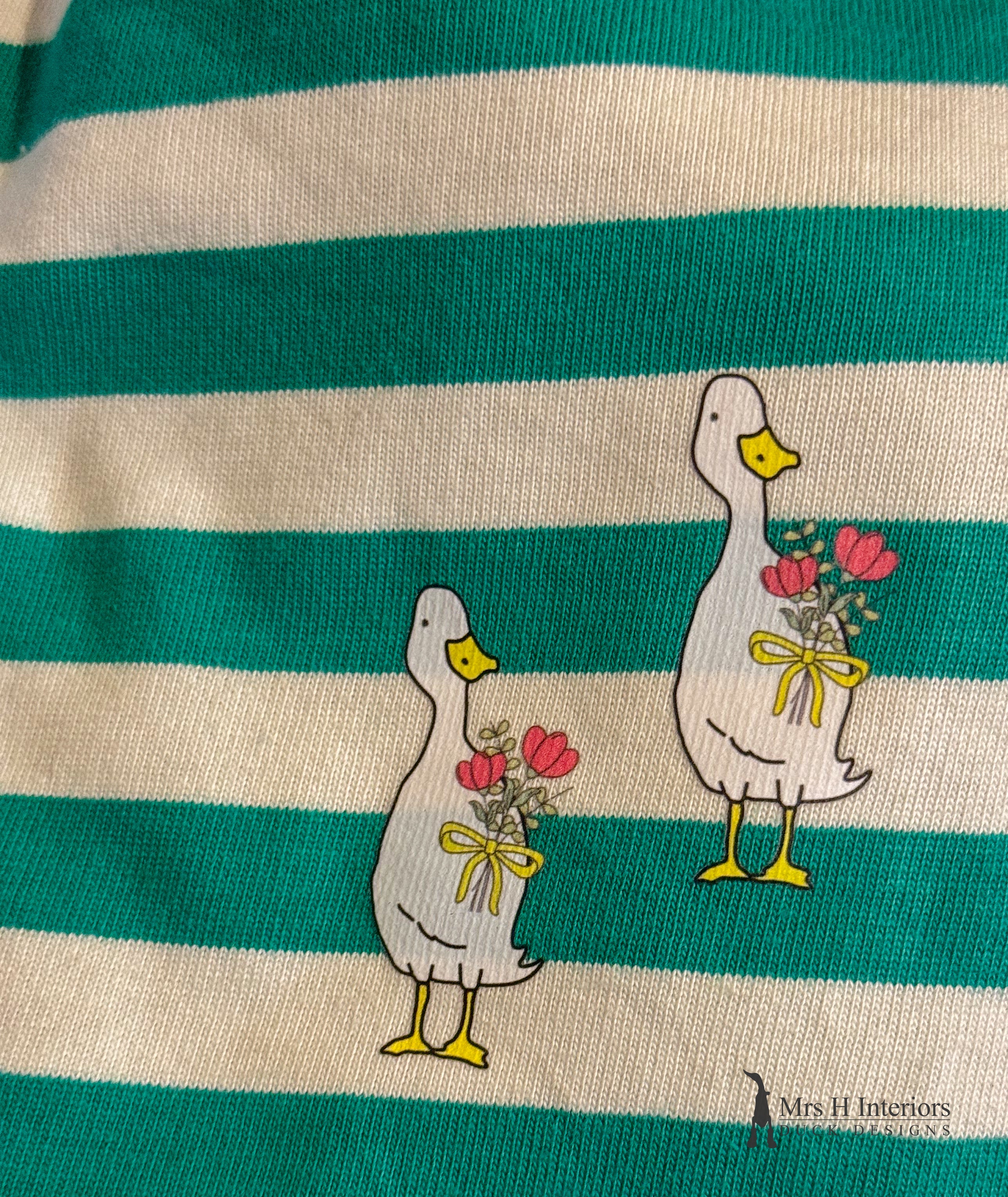 Duck clothing transfer