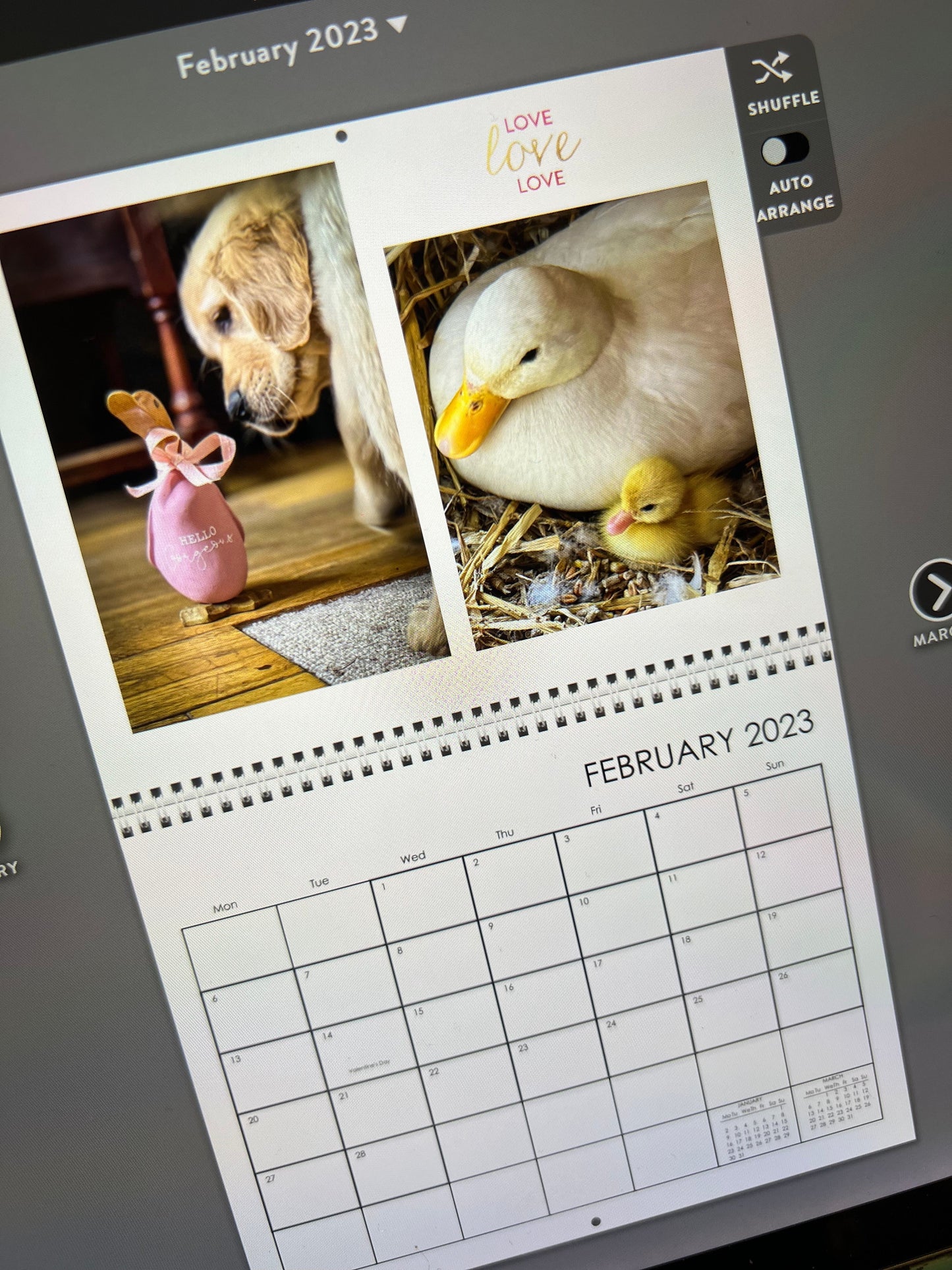 Calendar. A3 wall calendar 2025 - Mrs H interiors ducks and pals.